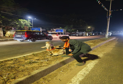 Cow Safety Initiative Reflective Belt Distribution