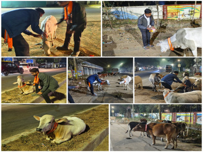Cow Safety Initiative Reflective Belt Distribution